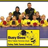 torbay_busybees